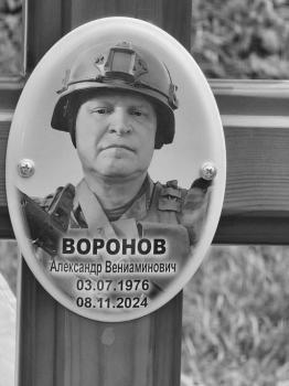Александр Воронов
