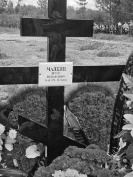 Денис Малкин