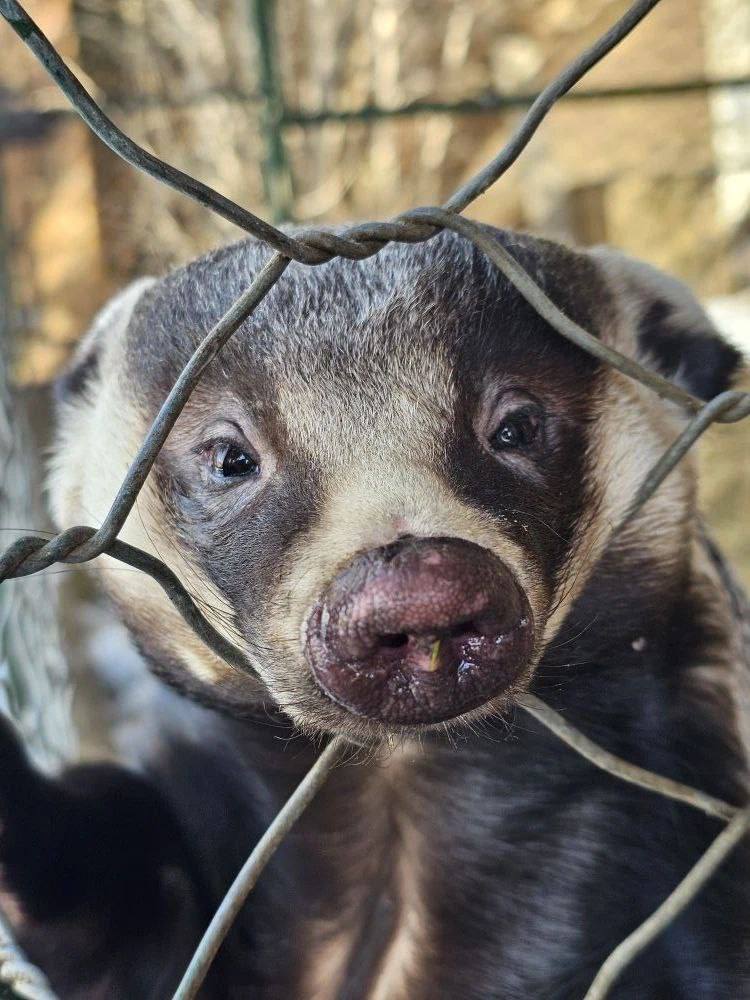 Иркутский Зоосад