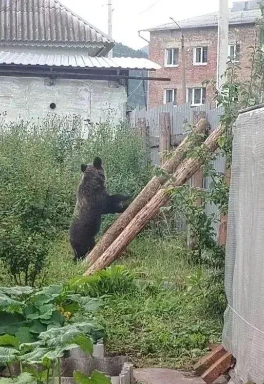 администрация Слюдянского района